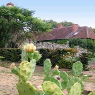 JARDIN-CONSERVATOIRE DU PRIEURÉ SAINT LAURENT DE MANZAY