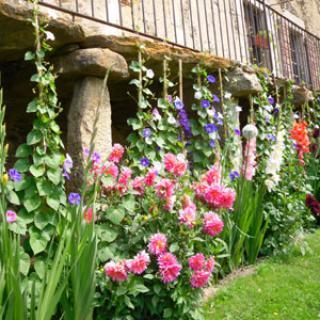 JARDIN POTAGER DE CAL MATEU