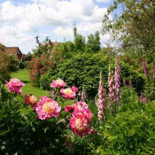 LE JARDIN DE GINETTE