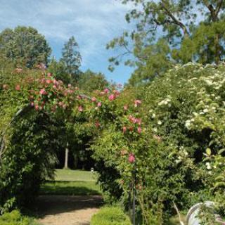 PARC DU CHÂTEAU DE BOISSY-LE-SEC