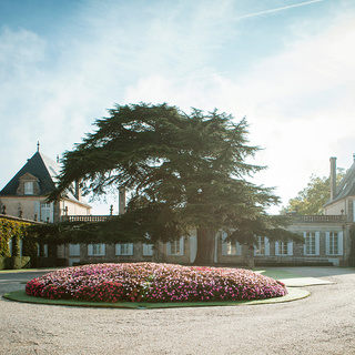 Château Beychevelle