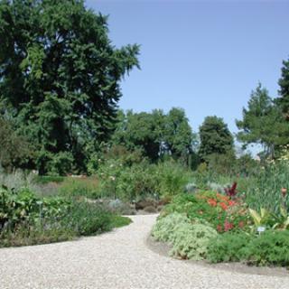 JARDIN DES PLANTES DE ROUEN