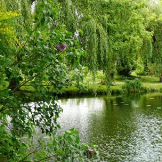 PARC ET JARDINS DE LA PEYLOUSE