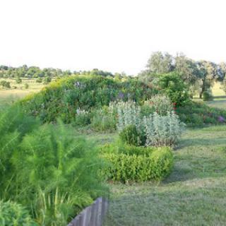 JARDIN EXPÉRIMENTAL GALLO ROMAIN DU GURTELBACH