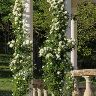 Parc du Château de Pourpry