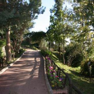 JARDIN BOTANIQUE DE NICE