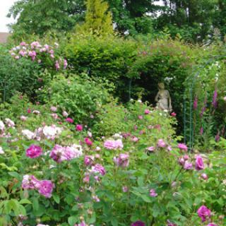 LES JARDINS DE LA MANSONIÈRE