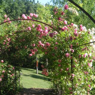 LES JARDINS DE QUERCY