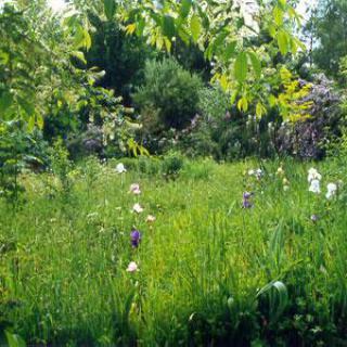 Arboretum du Chêne-Vert