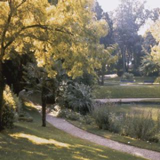 JARDIN DES PLANTES