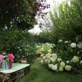 LE JARDIN DES PLANTES