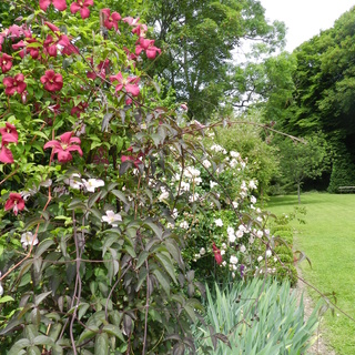 Jardin 'Les Charmes'