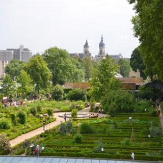 JARDIN DES PLANTES D'AMIENS