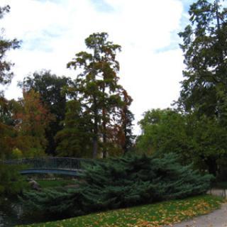 JARDIN PUBLIC DE BORDEAUX