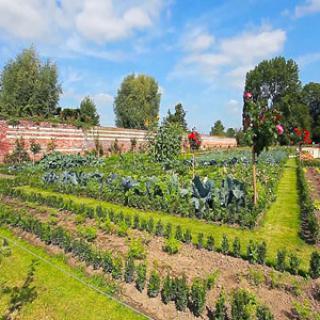 Les Jardins de la Chartreuse du Val Saint-Esprit