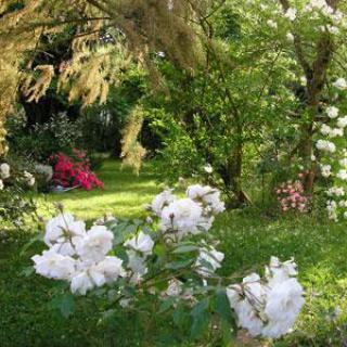 Au jardin de Montfleuri