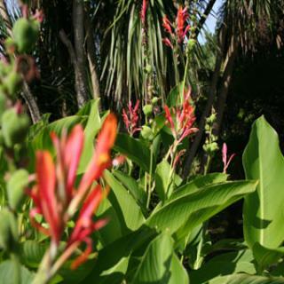 JARDIN BOTANIQUE DE VAUVILLE