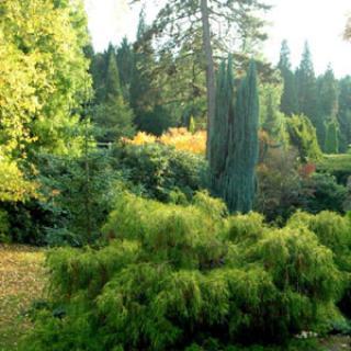 PARC ARBORETUM DU MANOIR AUX LOUPS