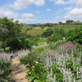 Jardins de la Rejonière