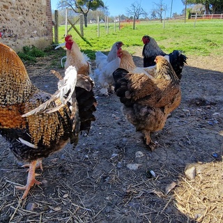 Domaine de Courtmoulin