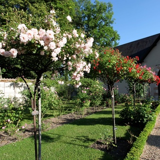 Arboretum de la Grande Lienne