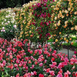 LE JARDIN DU MONASTÈRE