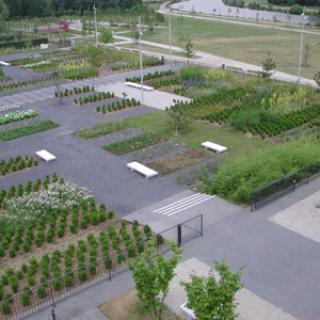 LES JARDINS DU COLYSÉE