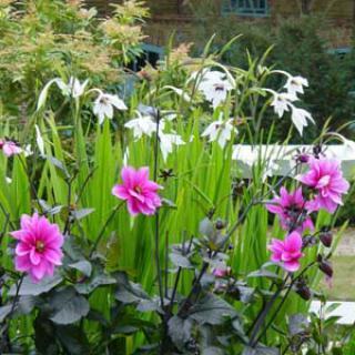 JARDIN FLORAL DU CHÂTEAU DE DIGEON