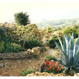 JARDIN BOTANIQUE MÉDITÉRRANNÉEN