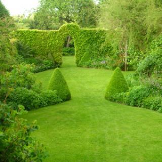 LE JARDIN DES OUBLIÉES