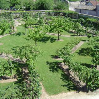 JARDIN DES PLANTES MÉDICINALES ET VERGER CONSERVATOIRE