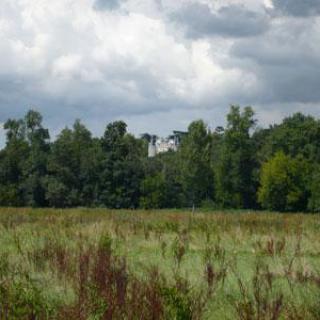 Parcours botanique au fil de l'Indre