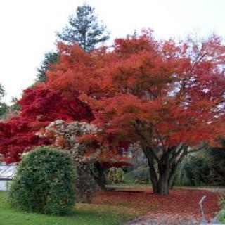 JARDIN BOTANIQUE DE L'UNIVERSITÉ DE STRASBOURG