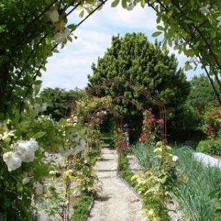 Le Jardin du Tilleul