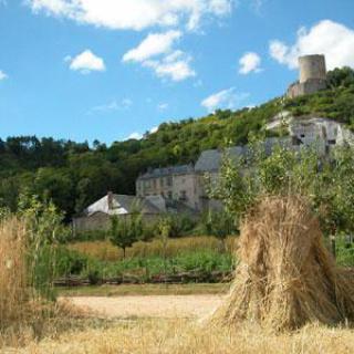 Potager-Fruitier du Château de La Roche-Guyon