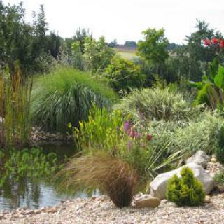 LE JARDIN DE MARIE