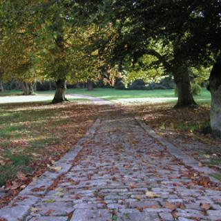 PARC ET JARDINS DU CHÂTEAU DE GERBÉVILLER