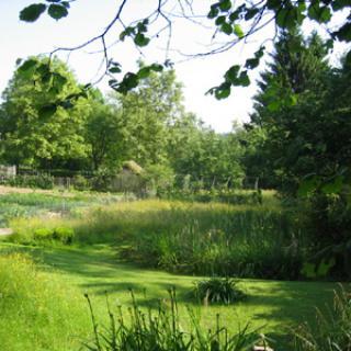 LES JARDINS DE MONTUBOIS