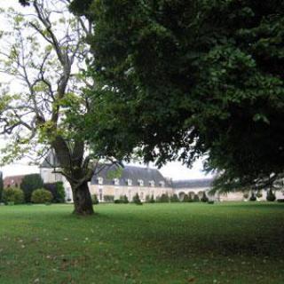 Parc et jardins du château d'Azay le Ferron