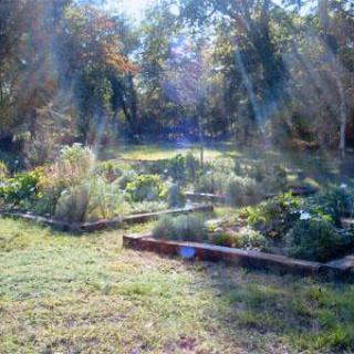 JARDIN MEDIEVAL DE PIERRAL