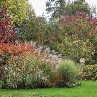 Jardin de L'Eau Vive