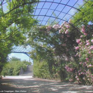 PARC DU CHÂTEAU DE COMPIÈGNE