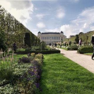 JARDIN DES PLANTES DE PARIS