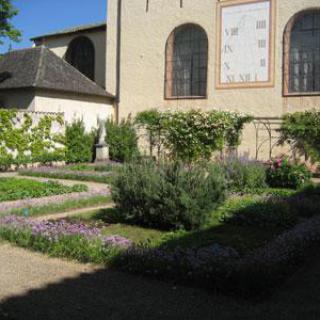 Jardin de l'Hôtel Dieu - Musée Greuze