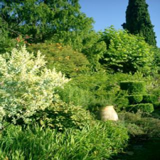 JARDIN DE LA VILLA FORT FRANCE