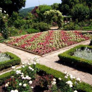 JARDINS DU CHÂTEAU D'ARLAY