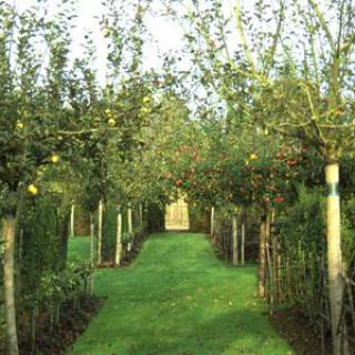 JARDINS DU PRIEURÉ NOTRE DAME D'ORSAN