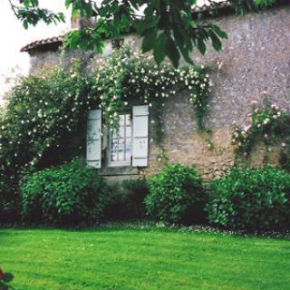 LE JARDIN DE LA MAROTTE