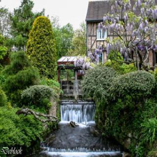 JARDIN DU MOULIN VENTIN