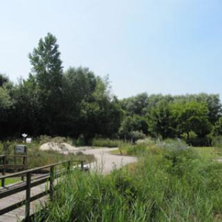 Jardin des plantes sauvages et Jardin des plantes médicinales